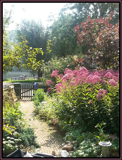 tuin, vijver, genieten